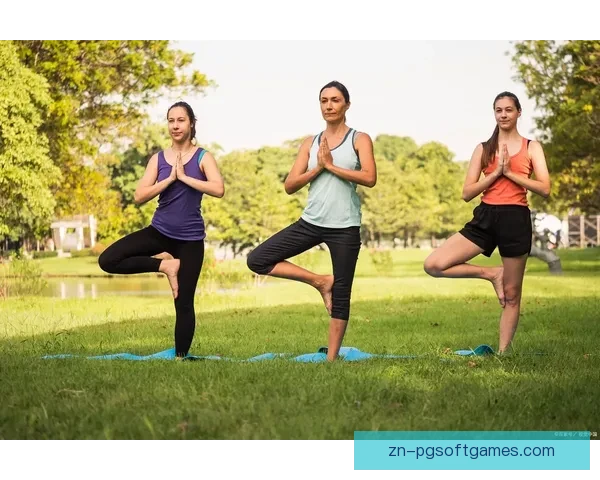 优质普拉提视频教程：提升身体素质，健康生活从锻炼开始