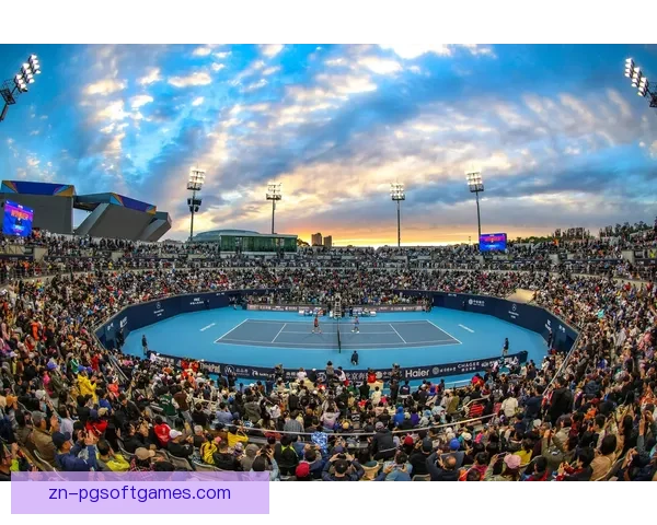 全网球杯赛事精华盘点，探寻冠军秘辛及赛场精彩瞬间